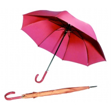 Parapluie droit à la pure couleur pure (BD-19)